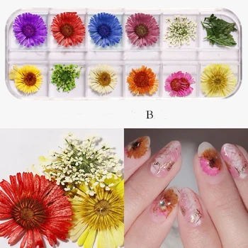 12 стилове сушени цветя нокти декорации естествени флорални смесени 3D нокти изкуство цвете стикери DIY нокти изкуство аксесоари нокти декор Z-3