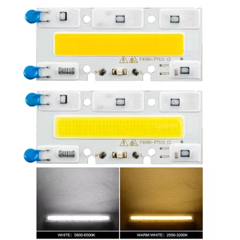 LED COB чип 30W 50W 70W 100W AC 220V LED лампа IP65 Smart IC за LED наводнения светлина топло бяло студено бяло прожектор