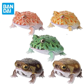 Bandai Original Gashapon Figure Organism Pictorial Book Horned Frog Breviceps Adspersus Toys for Kids Gift Collectible Model